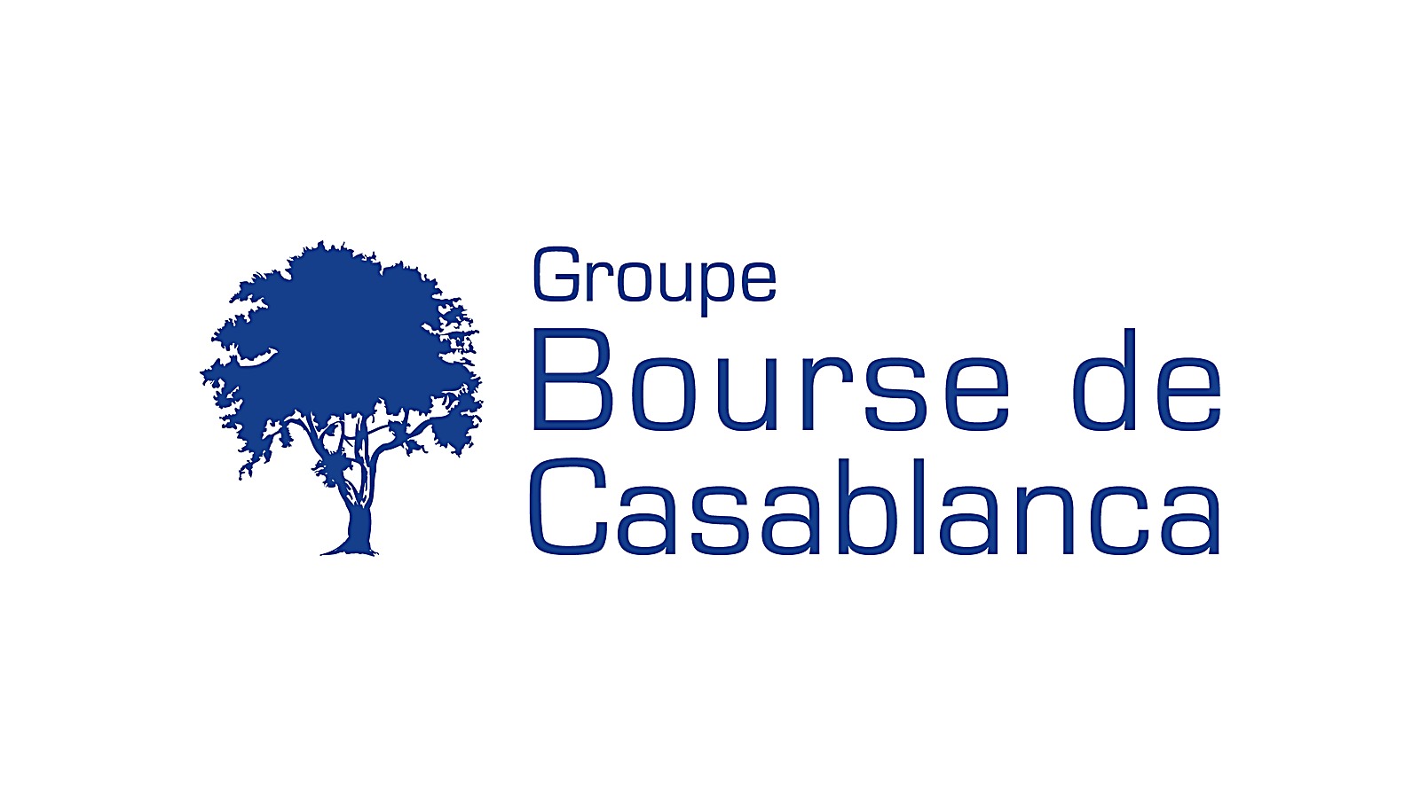 Lever des fonds en bourse au Maroc : introduction à la Bourse de Casablanca