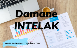 Damane INTELAK