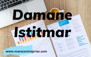 Damane Istitmar